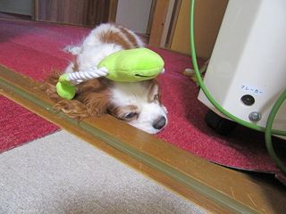 20150727_006
