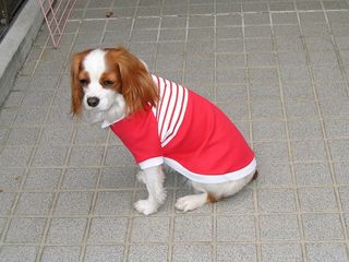 20040403_025