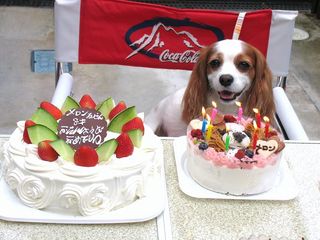 20080623 (6)