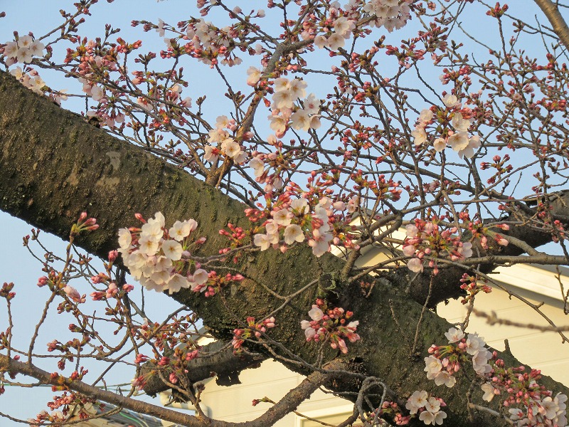 20160330_005