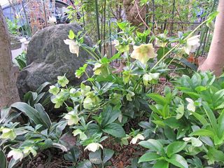 20160406_002