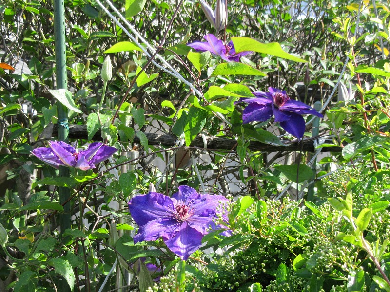 20160422_012