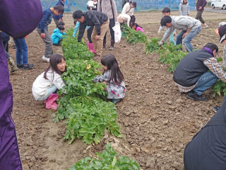 20161204_003 (1)