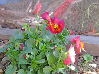 20170219_012