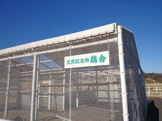 20170227_005