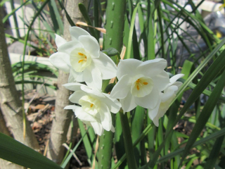 20170322_010