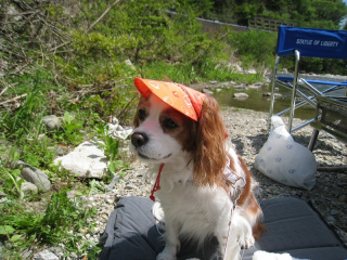 20100516_004 (1)