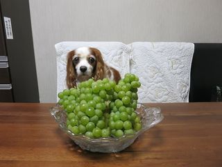 20141012_009