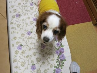 20141219_002