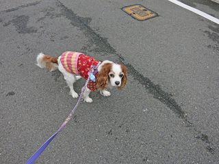 20150127_011