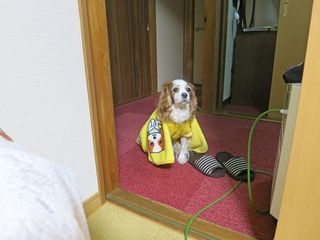 20150205_005 (1)