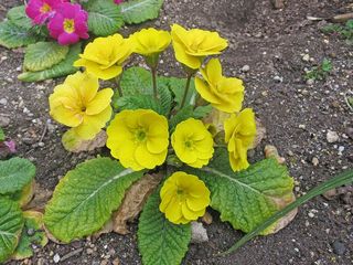 20150222_026