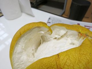 20150329_030