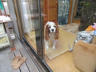 20150614_015
