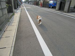 20150804_003