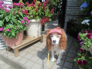 20150904_007