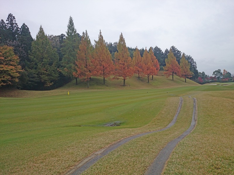20151109_008