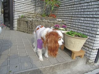 20151216_006