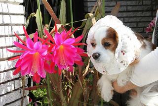 20100527_038