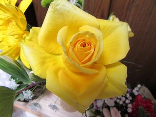 20160318_029