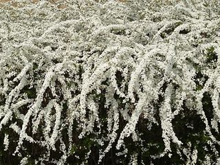 20160323_104