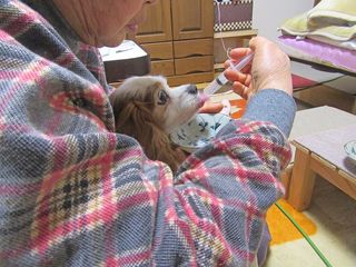 20160112_012 20160112_012