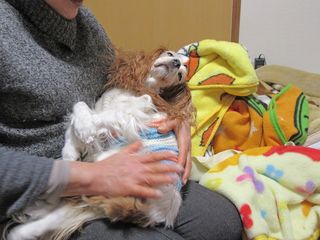 20160116_017 20160116_017