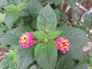 20160926_004