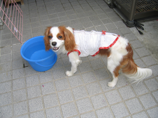 20040531_040