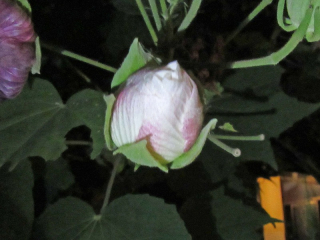 20170831_007