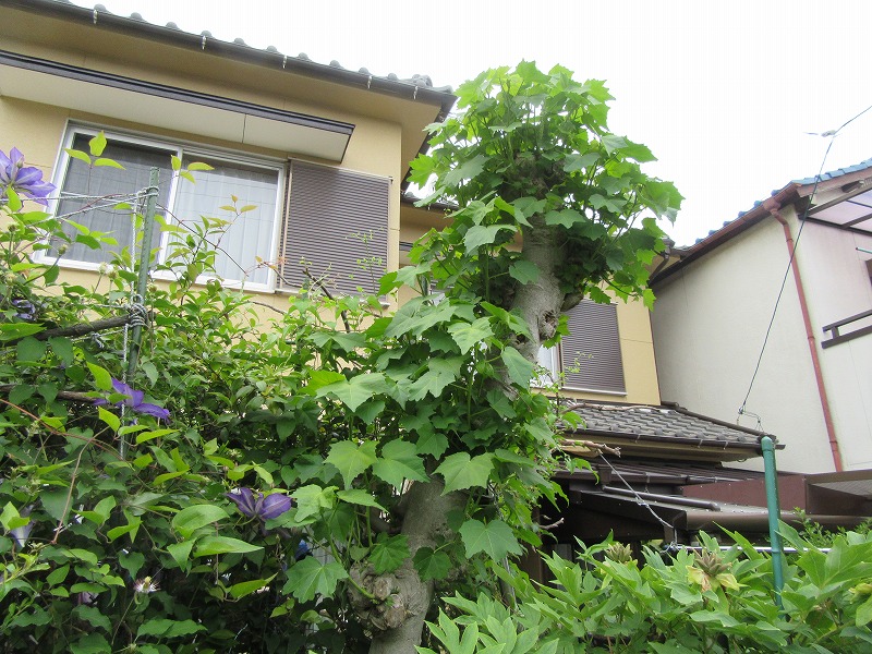 20180503_017