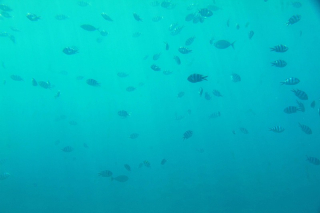 20180522_023