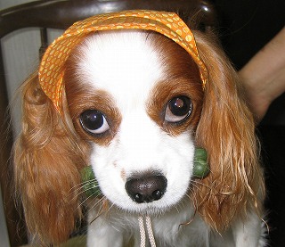 IMG_3565 IMG_3565