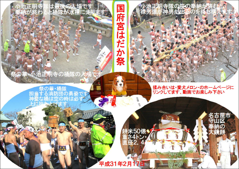 31.2 はだか祭り－画像１