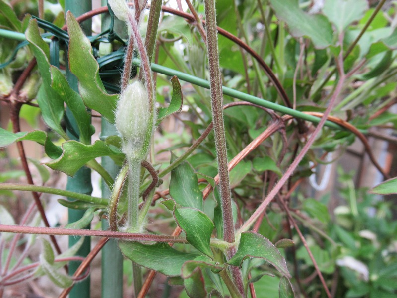 20190328_003