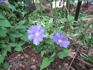 20190429_018