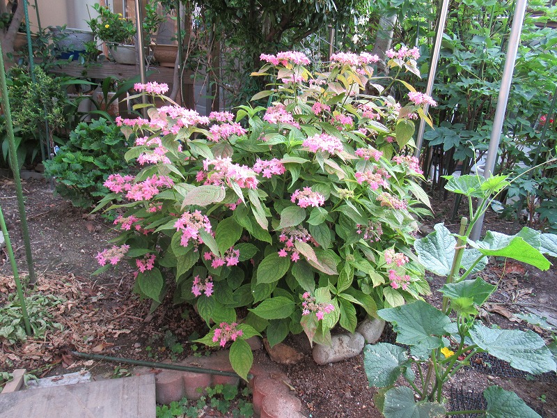20190524_004