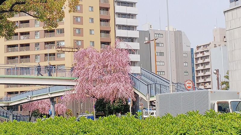 20190329_001