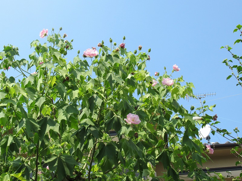20190818_007
