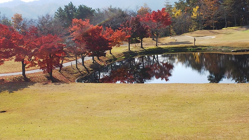 20201118_001