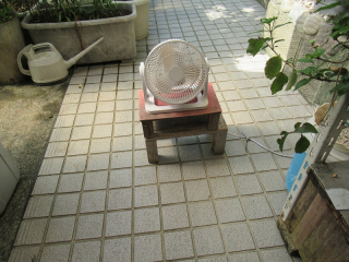 20250707_007