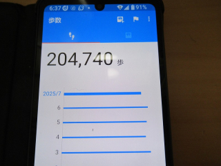 20250730_005