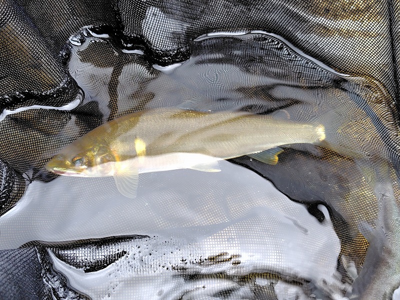 20250810_008