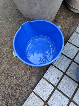 250507054403345