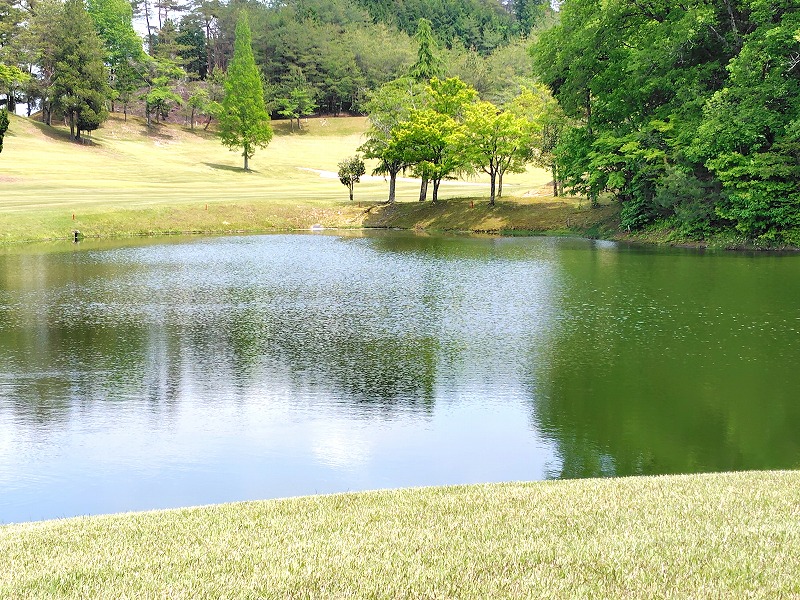 20250514_008