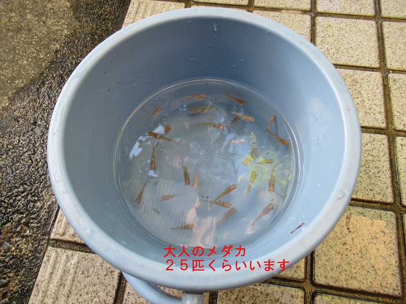 20250909_002